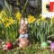 Citta di Ginevra: Cosa fare a Pasqua con i bambini?