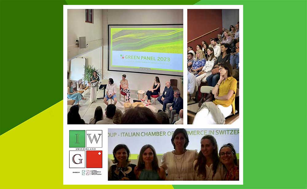 IWG Green Panel 2023