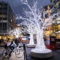 Le illuminazioni natalizie tornano a illuminare la Città di Ginevra