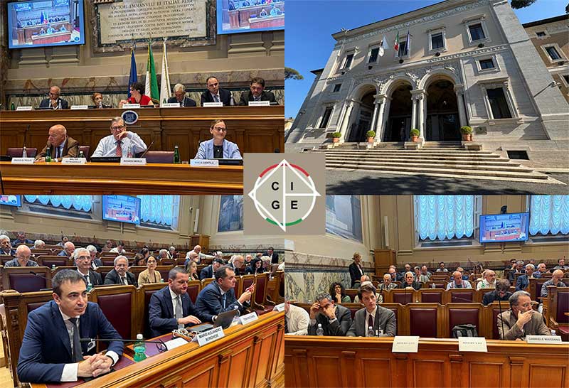 Il CGIE al CNEL per l’ultima giornata della Plenaria 2025