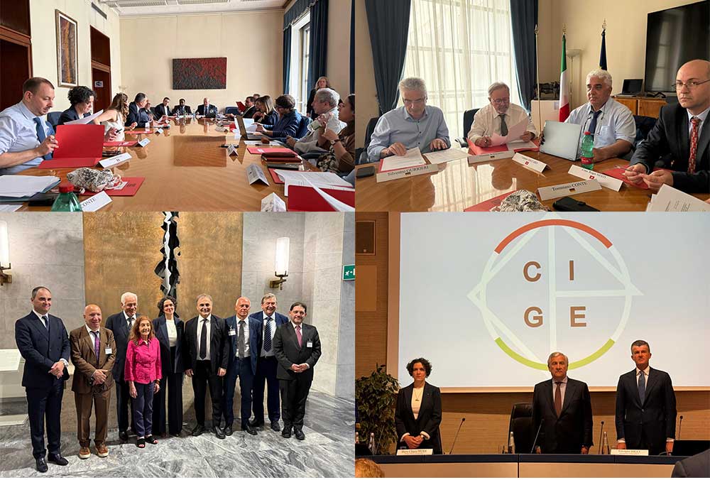 Plenaria CGIE: per protesta, alcuni consiglieri disertano il discorso del Ministro Tajani